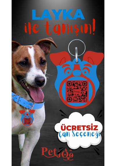 Petjoo 22.Layka Kırmızı-Mavi Qr'lı Köpek Künyesi