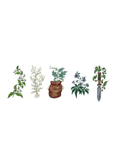 Wild Witchcraft: Folk Herbalism, Garden Magic, And Foraging For Spells, Rituals, And Remedies