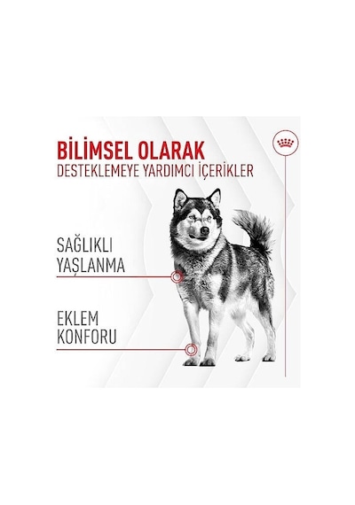Royal Canin Joint & Ageing Chews Eklem Sağlığını Destekleyen Ve Yaşlanma Karşıtı Yetişkin Köpek Ödül Maması 240gr