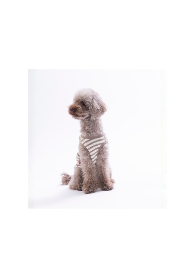 Cactus Embroline Tişört Kedi Köpek Tişörtü-kedi Köpek Kıyafeti Cactus Embroline Tişört Kedi Köpek Tişörtü-kedi Köpek Kıyafeti
