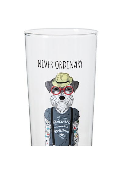 Mudo Home Dog Bira Bardağı 500 Cc