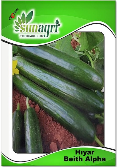 Beith Alpha Salatalık Tohumu 5 GR