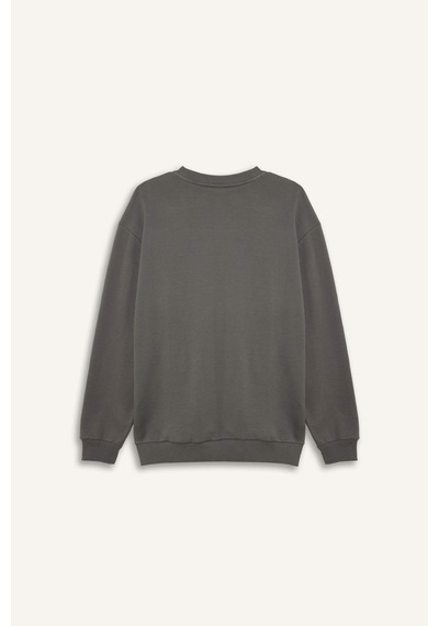 Defacto Boxy Fıt Bisiklet Yaka Pike Sweatshirt H1001ax26spgr206 Gri-gr206