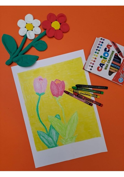 Carioca Wax Maxı Yıkanabilir Pastel Boya Kalemi 50'li Genel
