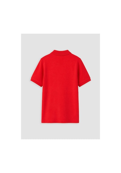 LC Waikiki Alıta Cıty Farkıyla Lcw Kids Kırmızı Polo Yaka Erkek Çocuk Pike Tişört Kirmizi - 924180738 Kirmizi LC Waikiki Alıta Cıty Farkıyla Lcw Kids Kırmızı Polo Yaka Erkek Çocuk Pike Tişört Kirmizi - 924180738 Kirmizi