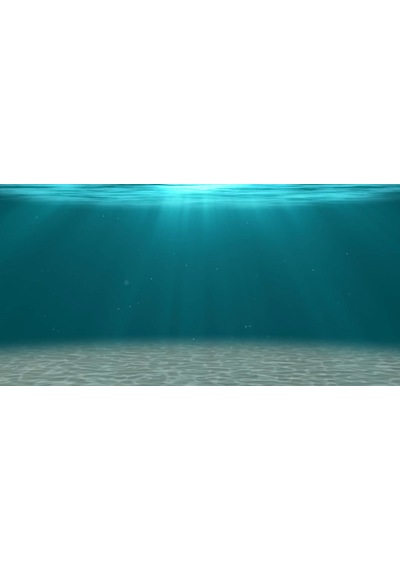 Kanki Pet 125 cm KP1256306 Akvaryum Arka Fon Yapıştırma 125x63 cm