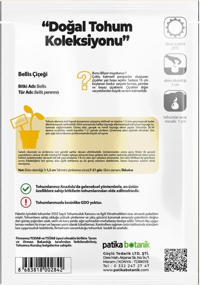 20 Adet Bellis - Şeker Tabağı Tohumu