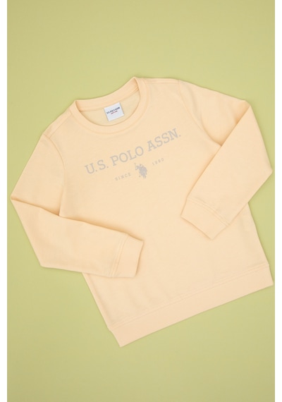U.S. Polo Assn. Erkek Çocuk Pembe Bisiklet Yaka Sweatshirt 50313900-VR053