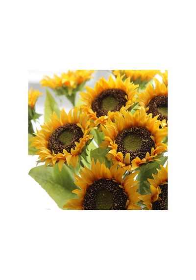 Ayçiçeği Çekirdek Tohumu 10 Gr Paket 1 Paket