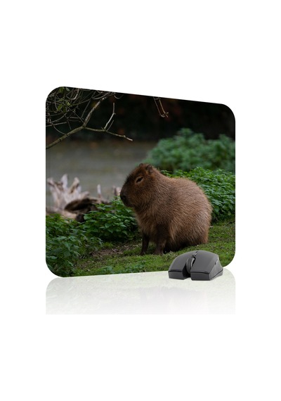 Capybara Kaymaz Dikişli Kauçuk Oyuncu Mousepad V5 - 48x40 Xl Gaming Mouse Pad Fare Altlığı