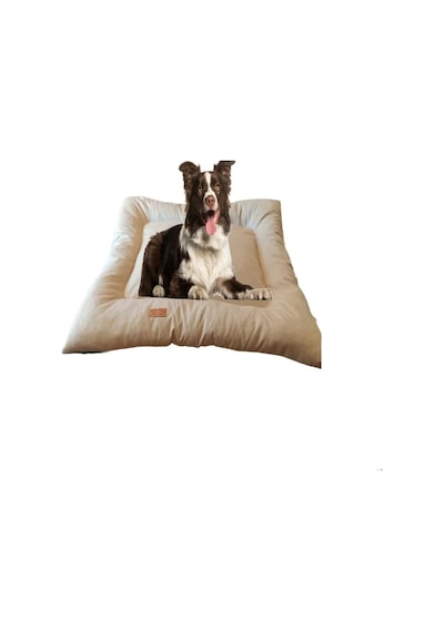 Petty Comfort-köpek Yatağı Minderi-orta Irk Köpek Yatağı Minderi-büyük Irk Köpek Yatağı Minderi-çift Taraf
