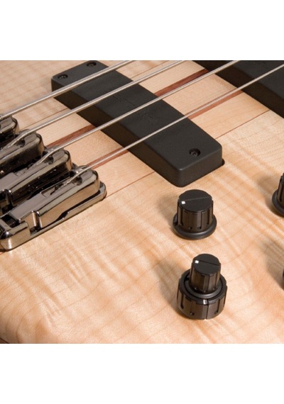 Ibanez Sr1005efmntf Sr Serisi Bas Gitar 5 Telli - Çantalı