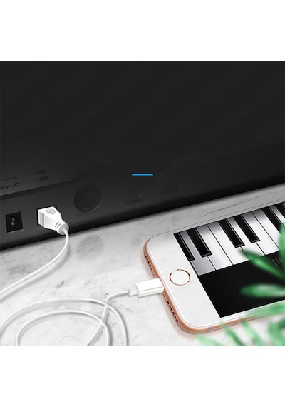 Type-C to USB-B Midi - Yazıcı Kablosu 1.5 Metre