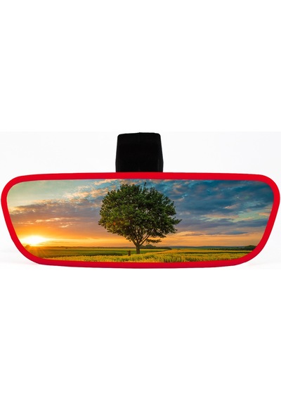 Pırlanta-3 Şahin Ayaklı Universal Dikiz Aynası 17X5 Cm 6 Renk
