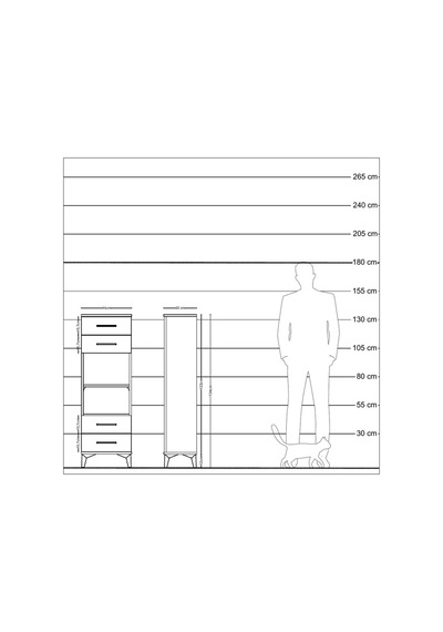 Arges Dolap 2 Raflı 4 Çekmeceli 44x30x134 Antrasit-antrasit Antrasit Arges Dolap 2 Raflı 4 Çekmeceli 44x30x134 Antrasit-antrasit Antrasit