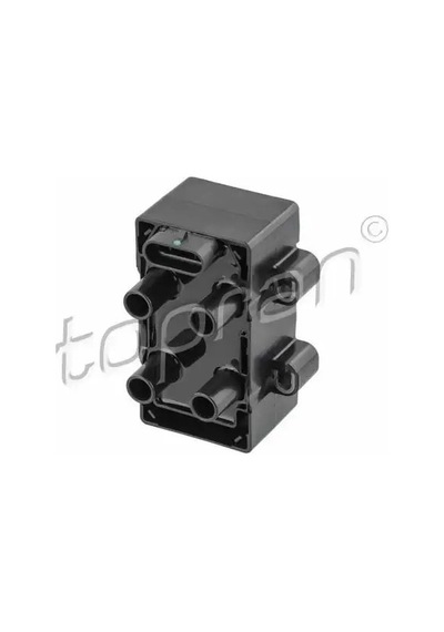 Renault Scenic 2 Bobin 1.6 2004-2008 Topran 700123001