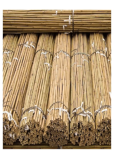 20 Adet Bambu Bitki Fidan Destek Çubuğu 1,5 Metre