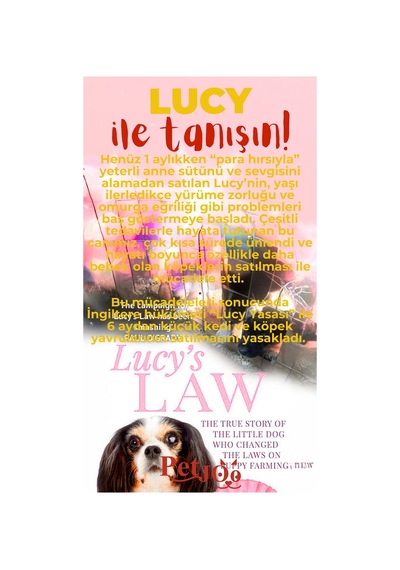 Petjoo 11.Lucy Kırmızı-Sarı Qr'lı Köpek Künyesi