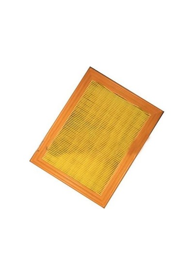 Fusion Hava Filitresi 2002-2011 Tamt9601fbnz 1.6, 1.4 L Duratec