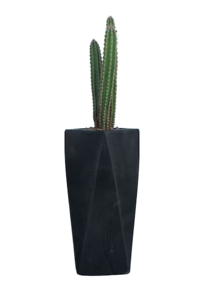 Çiçek Saksısı Uzun Beton Saksı Model 1 - Siyah
