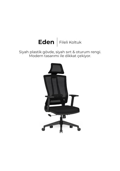 Eden Başlıklı Çalışma Koltuğu, Bel Destekli Ve Fileli Ofis Sandalyesi, 32 Dns Süngerli Siyah Yönetici Koltuğu, Diğer