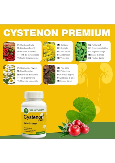 Cystenon 15lı Kaps Sistite Idrarın Normallleşmesine Ağrılarınıza Yanmalarınıza Kokulara