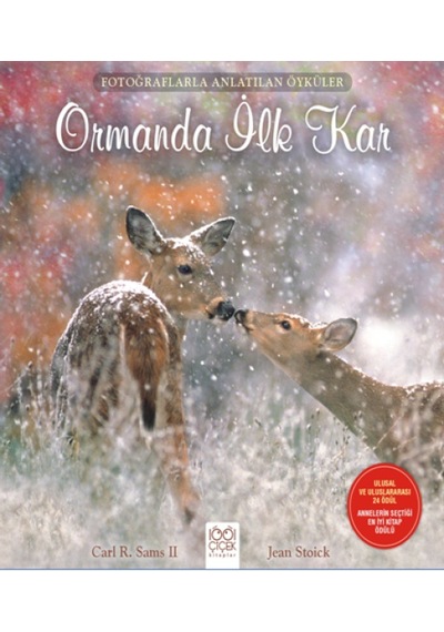 Fotoğraflarla Anlatılan Öyküler - Ormanda İlk Kar - Ccgx-817815