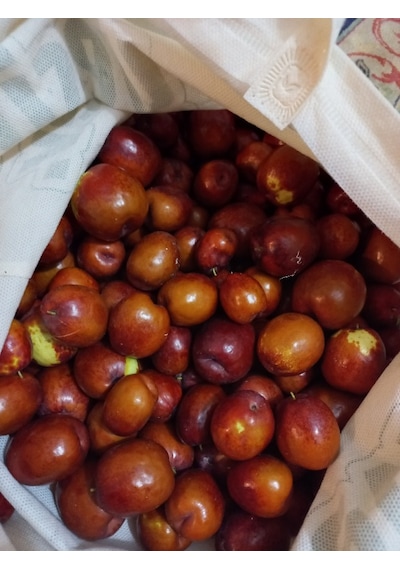 Hünnapçı Taze Hünnap Iri Boy 1 KG