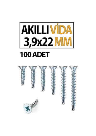 Akıllı Vida 3,9x 22 Mm 100 Adet Diğer