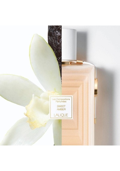 Lalique Les Compositions Sweet Amber Edp 100ml Diğer