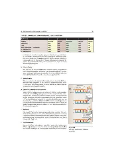 Lippincott Hücre Ve Moleküler Biyoloji