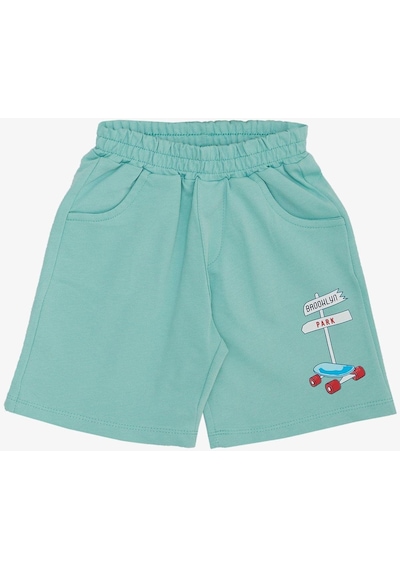 Breeze Erkek Çocuk Şortlu Takım Sevimli Özgür Kaykaycı Köpekçik Baskılı 2-6 Yaş, Açık Gri Melanj-açık Gri Melanj Açık Gri Melanj
