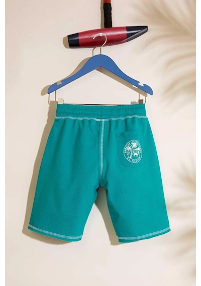 U.S. Polo Assn. Erkek Çocuk Örme Şort Çok Renkli