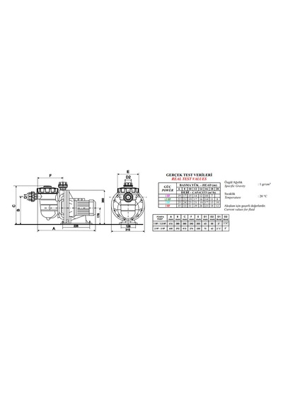 Nozbart İlk Seri Monofaze 2 Hp Pompa
