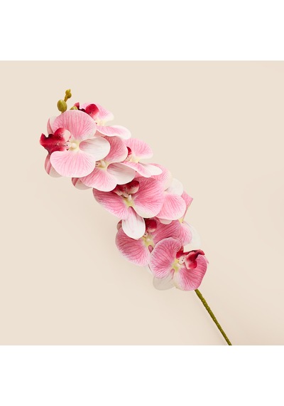 Deco Orkide Yapay Dal Çiçek - Pembe - 104 Cm Çok Renkli
