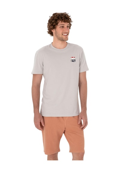 U.S. Polo Assn. Erkek Regular Fit Bisiklet Yaka Tişört Gri