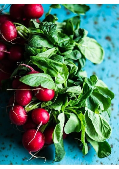 Mix Yukarıbakan Cin Biber 250 Adet Fındık Turp 100 Tohum