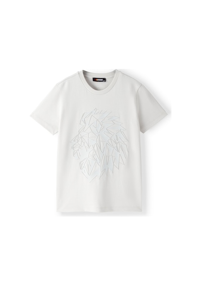 Gsstore Galatasaray Çocuk T-shirt C252099 Gri