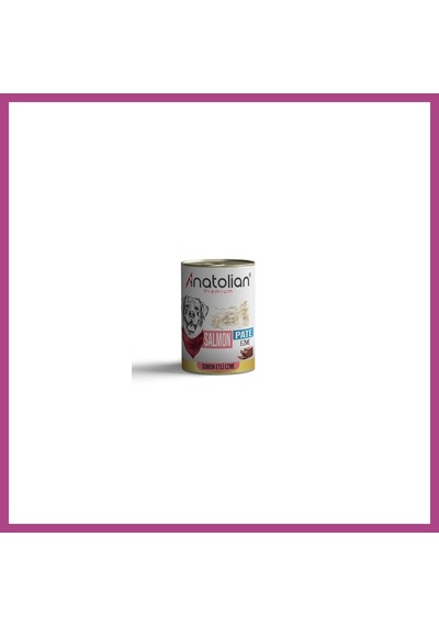 Gees Global Premium Somonlu Ezme Yetişkin Köpek Konservesi 400 Gr Gbzs