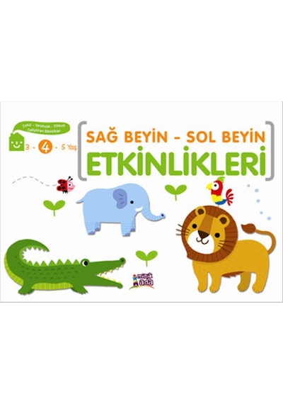 Sağ Beyin - Sol Beyin Etkinlikleri 4 Yaş