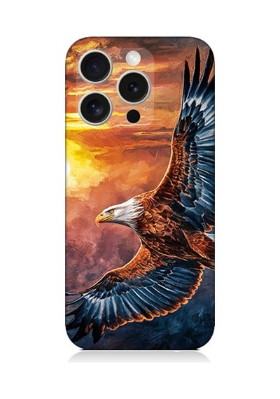 Apple Uyumlu iPhone 16 Pro Max Kartal Uçuşu Desenli Silikon Kılıf Çok Renkli