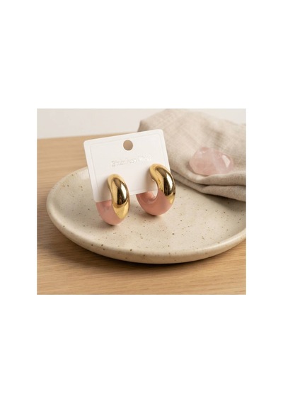 316l Çelik Gold Renk Pembe Halka Model Kadın Küpe Tj-bkp12032 Evimdeyokyok