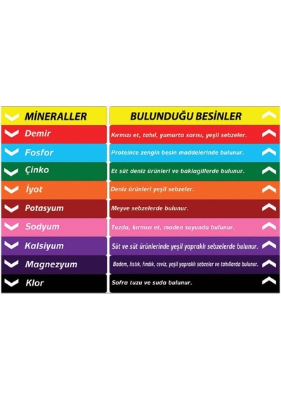 Fen Bilgisi Merdiven Yazıları (Laminasyonlu) (508658432)