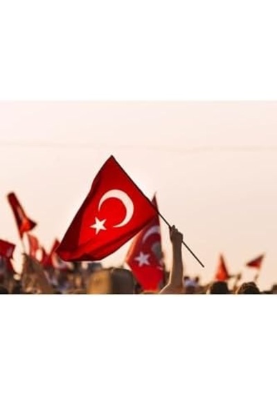 Zc Bayrak Sopalı Türk Bayrağı 100x150 Yüksek Kalite Çift Tarafllı Fabrikasyon Baskı Alpaka Kumaş Diğer