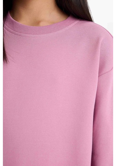Defacto Kız Çocuk Relax Fit Bisiklet Yaka Basic Düz Sweatshirt A2797a825aupn455 Pembe Defacto Kız Çocuk Relax Fit Bisiklet Yaka Basic Düz Sweatshirt A2797a825aupn455 Pembe
