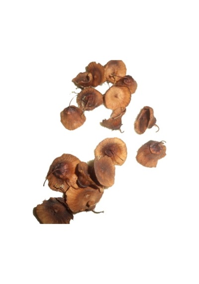 Karaçalı Otu 1. Kalite 150 G