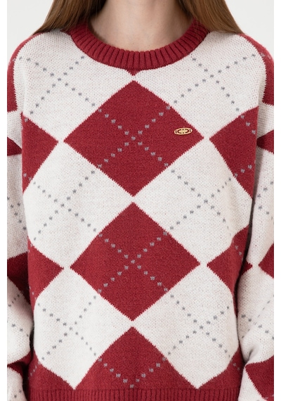 U.S. Polo Assn. Kadın Koyu Frambuaz Bisiklet Yaka Kazak 50314665-VR104
