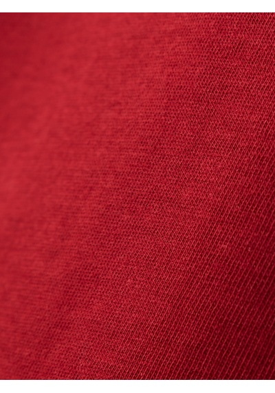 Gsstore Galatasaray Ucl Erkek T-shirt E252217 Bordo