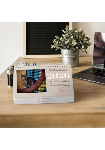 Pet Sitter Istanbul 2026 Takvim, Kurtarılan Kediler Ve Farkındalık Günleri, Evcil Hayvan Tatilleri Temalı Masa Takvimi Çok Renkli