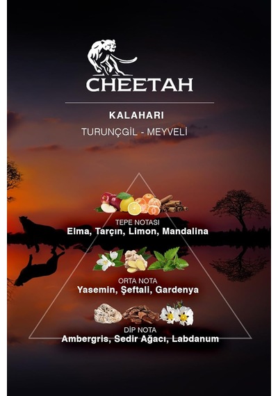 Kalaharı Hesperidic & Fruity Erkek Parfüm 100 Ml Sku: Smg8690010408914